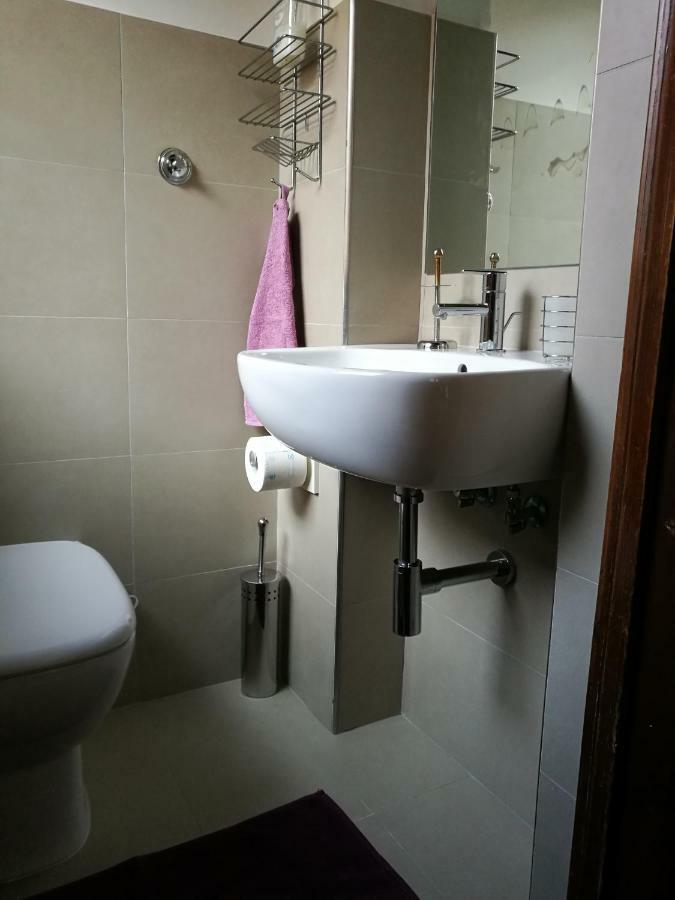 Lo Chalet Di Trastevere 로마 외부 사진
